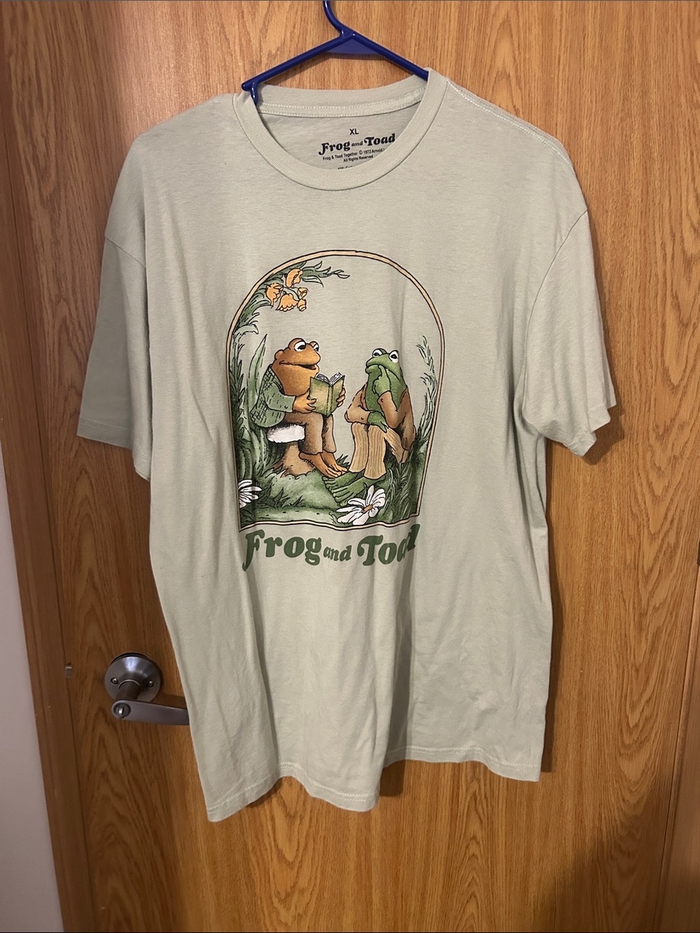 Frog and Toad Graphic Short Sleeve Tee - Light Sage